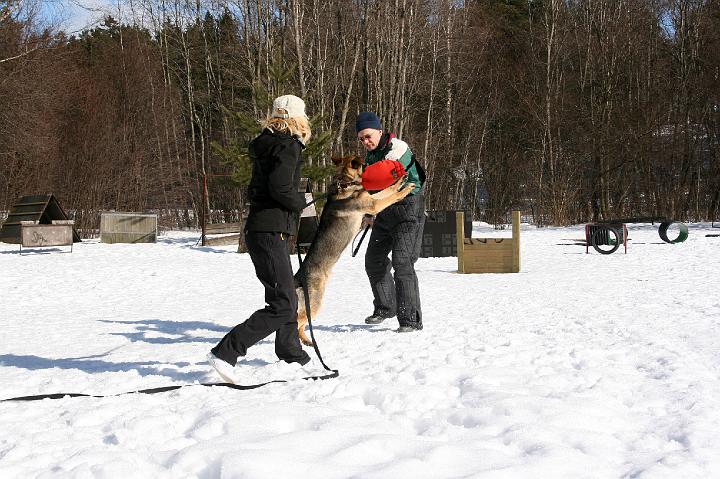 Pureskeluja 058.jpg